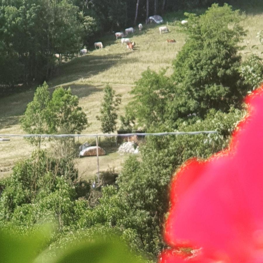 Antica Casa Occitana Bed & Breakfast Сампейре Екстериор снимка